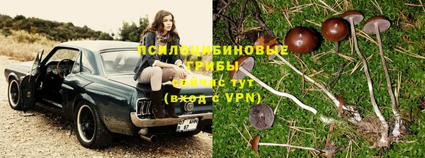 круглые Алексеевка