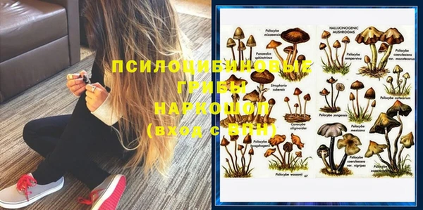 шишки Протвино