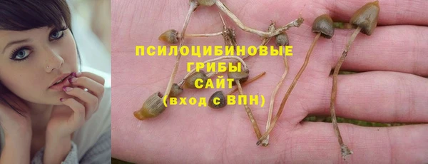 круглые Алексеевка