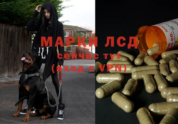 героин Алзамай