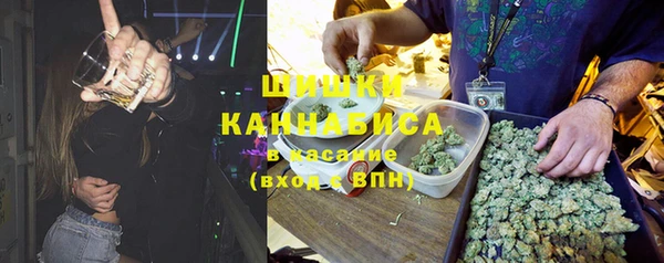 мет Алексин